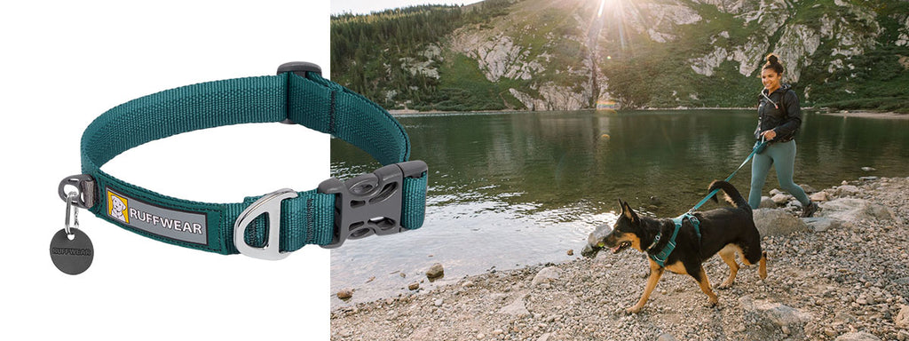 Dog in tumalo teal front range harness walks along water with human.