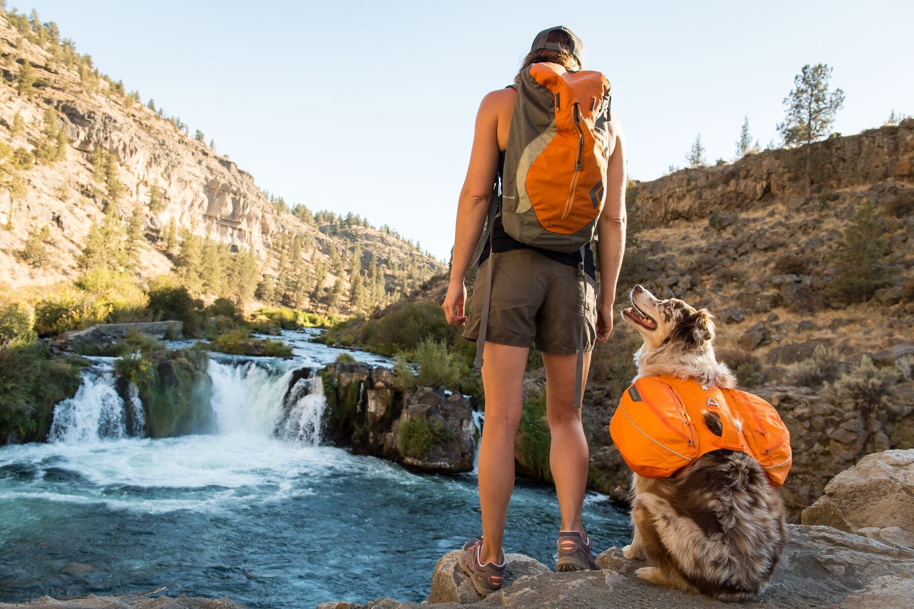 Dog in approach pack sits at humans side looking out at waterfall.