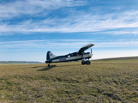 Plane sits in the meadow in the Arctic National Wildlife Refuge.