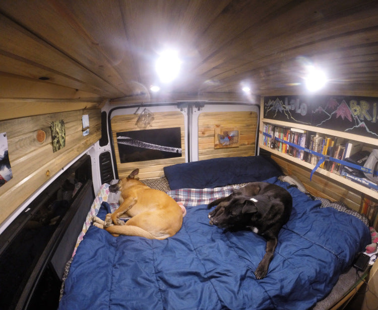 Star and Colt tired, taking a nap on the bed inside the van.