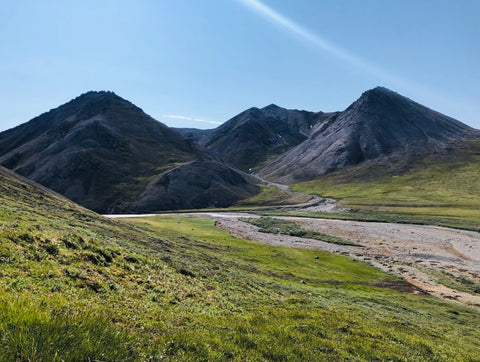 Coastal plain in Arctic National Wildlife Refuge.
