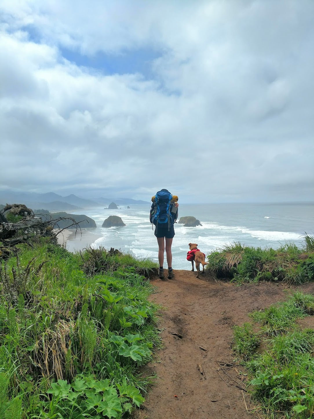 Dog in Palisades dog backpack and human with backpacking pack look out over Oregon coast from trail.