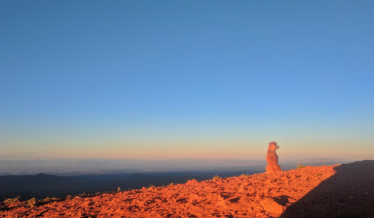 Giles sits at sunrise up on a hill taking in the view.