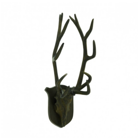 elk trophy antlers