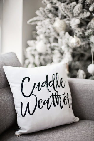 Winter modern rustic farmhouse decor pillows