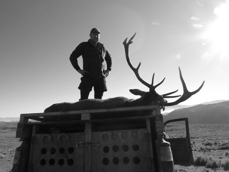 Stag hunting Otago Toyota Hilux