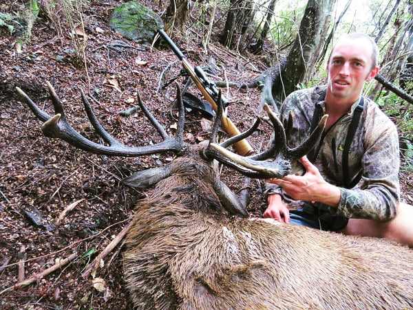 Wild red stag new zealand bush hunting