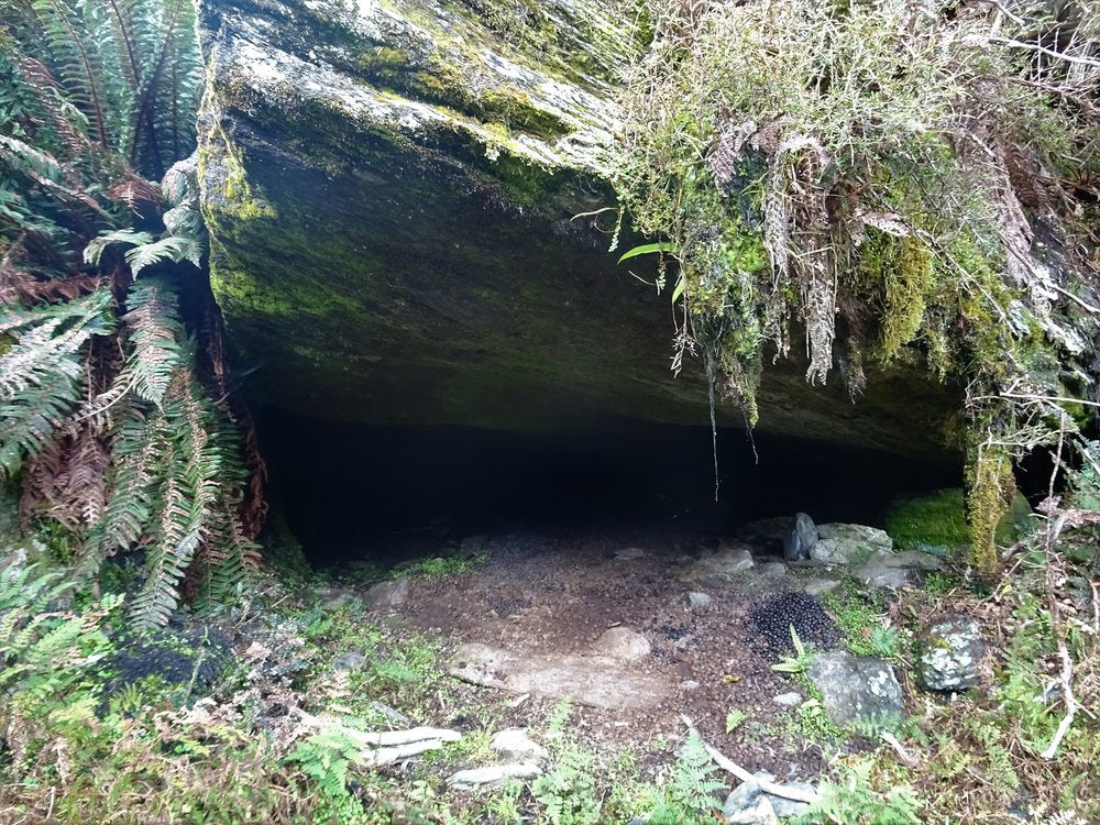 tahr shelter under a rock