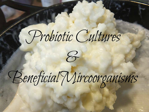 Probiotic Cultures & Beneficial Microorganisms