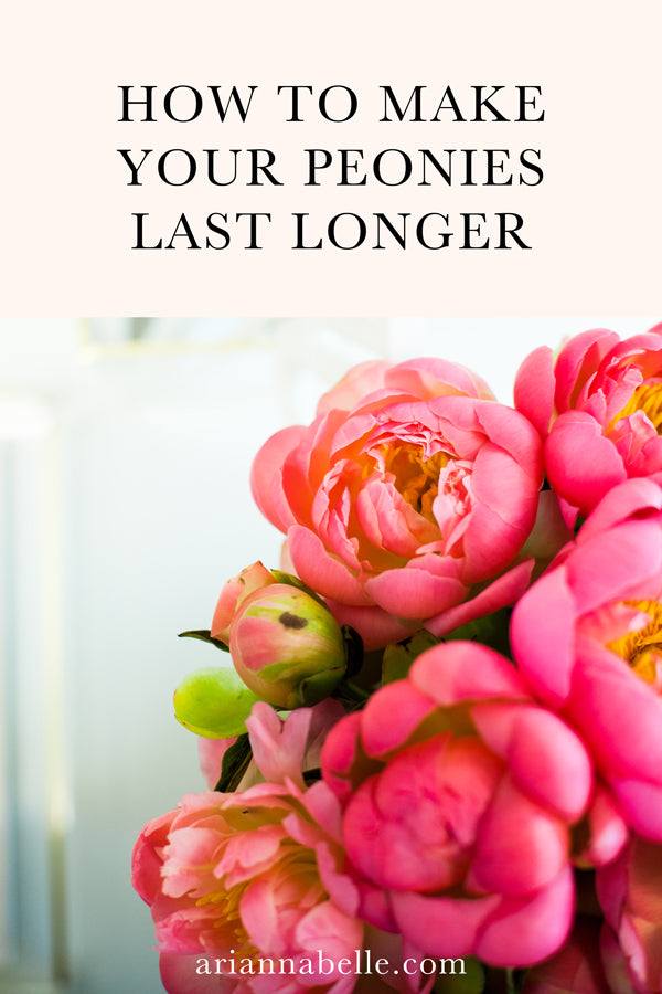 How to Keep Cut Peony Flowers Fresh Longer | Arianna Belle Blog