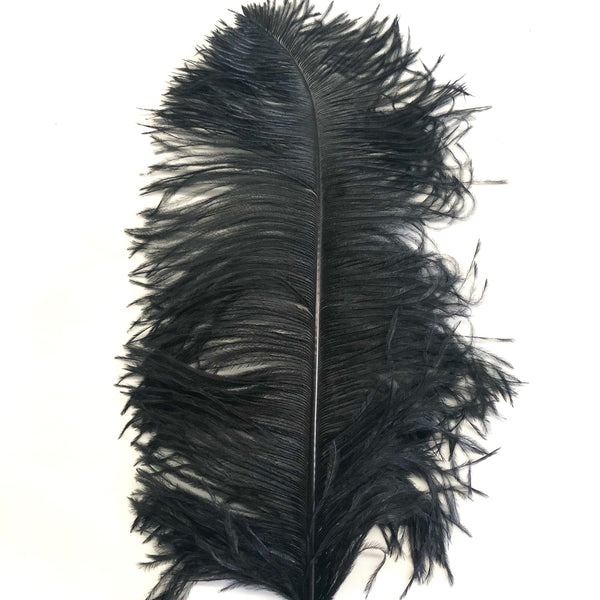 ostrich wing feathers