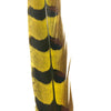 30" to 32" Reeves Pheasant Tail Feather - Yellow ((SECONDS))