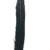 12" to 14" Reeves Pheasant Tail Feather - Black