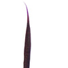 20" to 30" Golden Pheasant Side Tail Feather - Purple ((SECONDS))