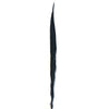 10" to 20" Golden Pheasant Side Tail Feather - Black