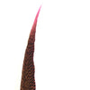 10" to 20" Golden Pheasant Side Tail Feather - Hot Pink