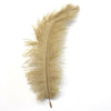 Gold Ostrich Blondine Feather