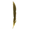 6" to 10" Ringneck Pheasant Tail Feather x 10 pcs - Yellow