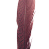 6" to 10" Silver Pheasant Tail Feather - Chocolate Brown