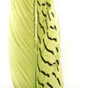 6" to 10" Silver Pheasant Tail Feather - Olive Green