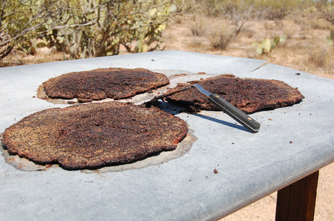 saguaro seed cakes