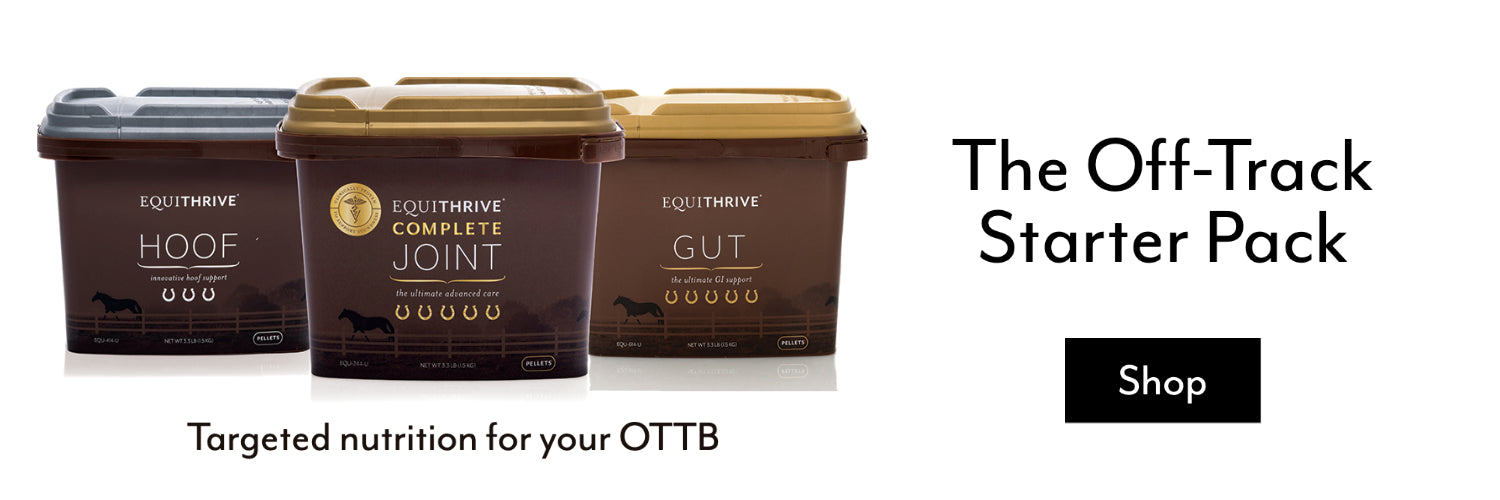 Equithrive OTTB