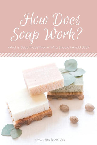 HOW DOES SOAP WORK? WHAT IS SOAP MADE FROM? WHY SHOULD I AVOID SLS?