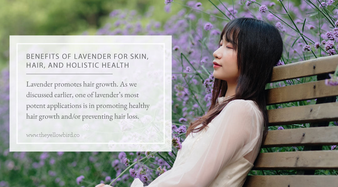 Benefits of Lavender for Skin Hair and Holistic Health