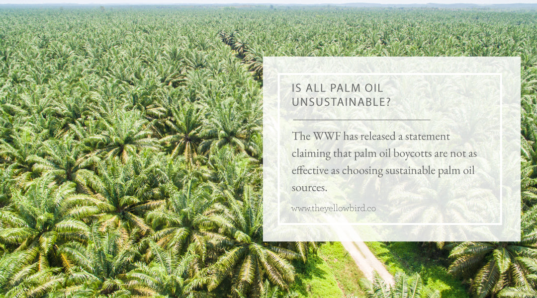 Is all Palm Oil Unsustainable