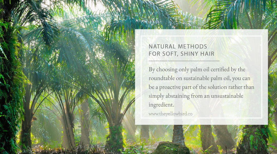 Natural Methods for Soft Shiny Hair