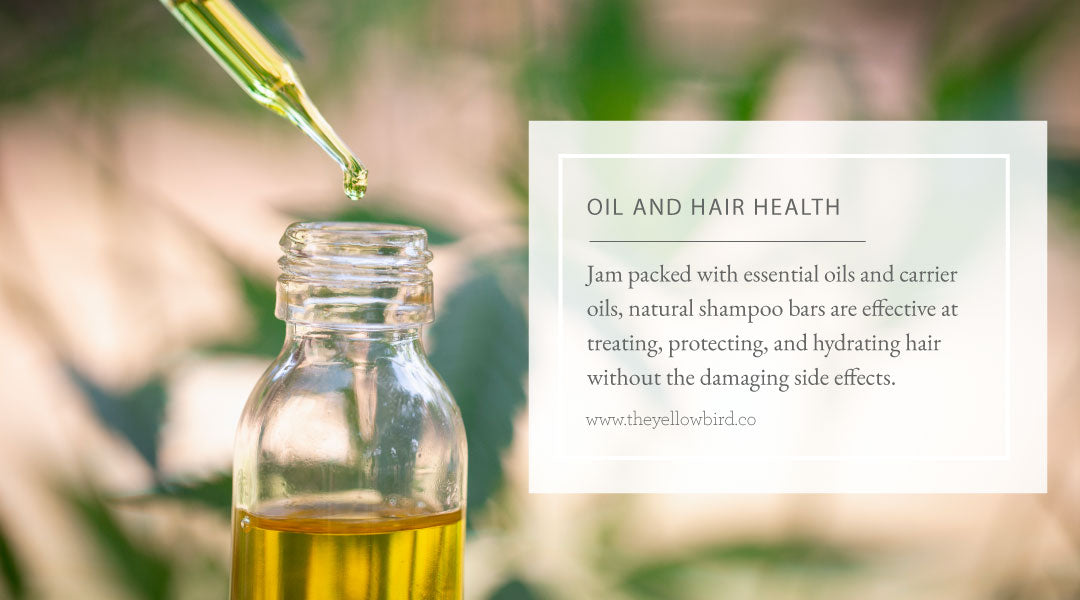 Oil and Hair Health