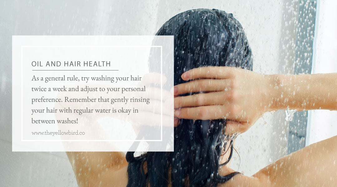 Oil and Hair Health