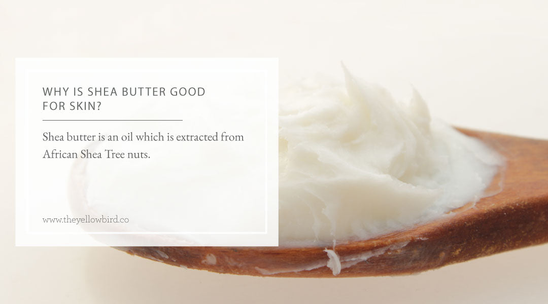 Why is Shea Butter Good for Skin