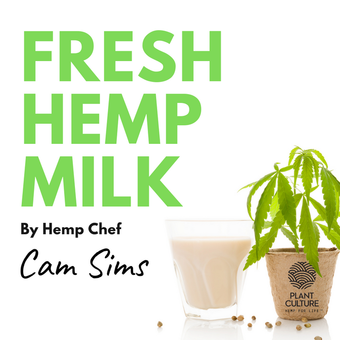 HOMEMADE HEMP MILK RECIPE