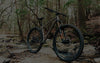 Pinhotii III Titanium Bike