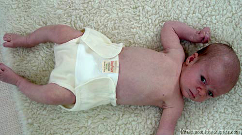 wool diaper wrap