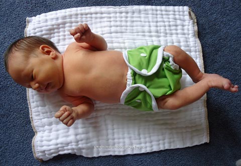 newborn baby in diaper cover