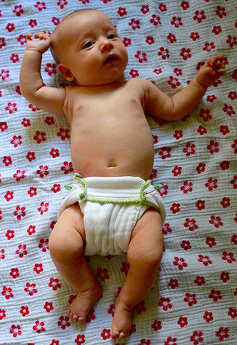 cloth-eez prefold diaper sizes novice pinned