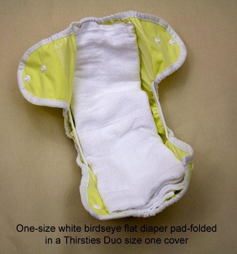 pad fold flat diaper in Thirsties Duo diaper cover