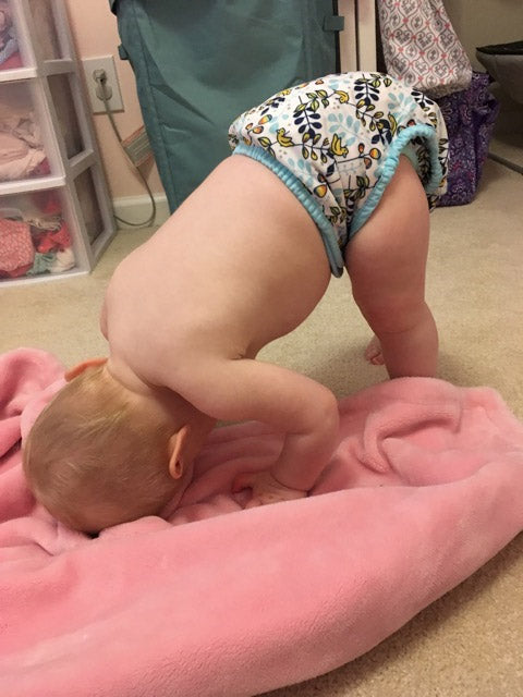 thirsties pocket diapers baby