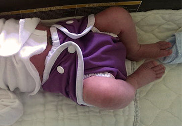 iris snap 6 pounds 15 oz 1 week old