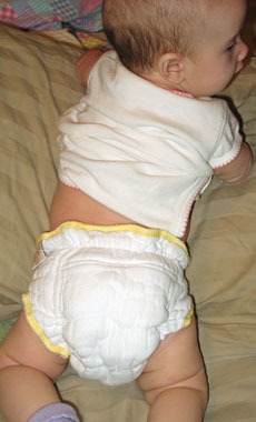 workhorse small diaper