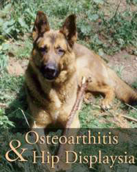Canine Osteoarthritis & Hip Dysplasia