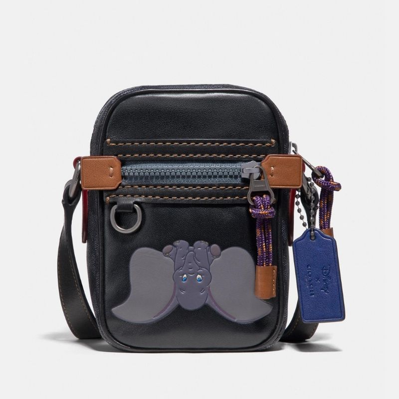 disney cross over bag