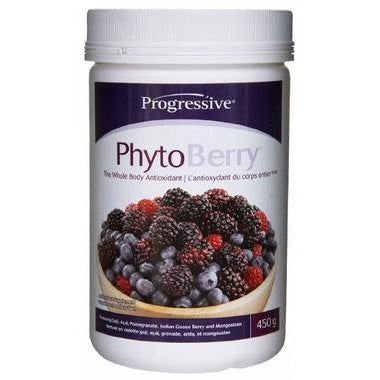 PROGRESSIVE PhytoBerry Antioxidant 450g