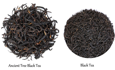 ancient tree black tea- bestleaftea.com
