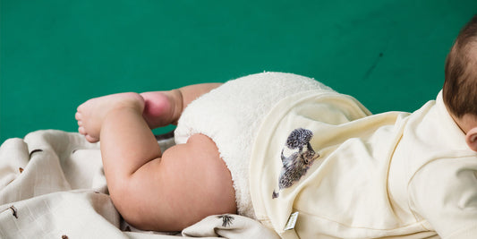 Benefits of Bamboo Reusable Nappies