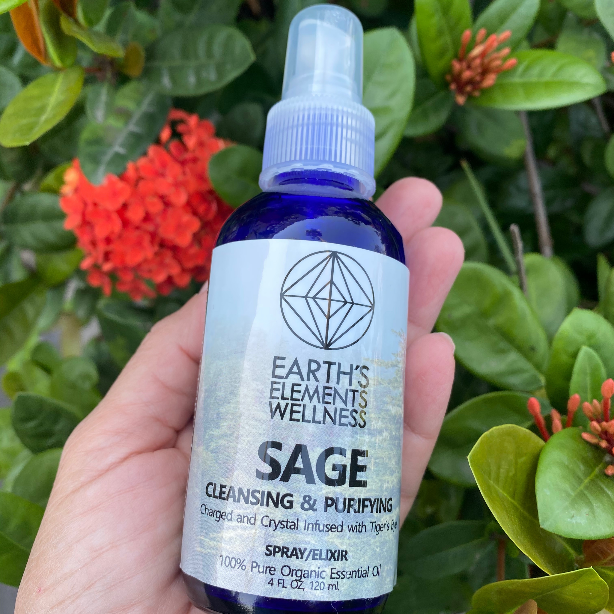 Wellness Cleansing Spray