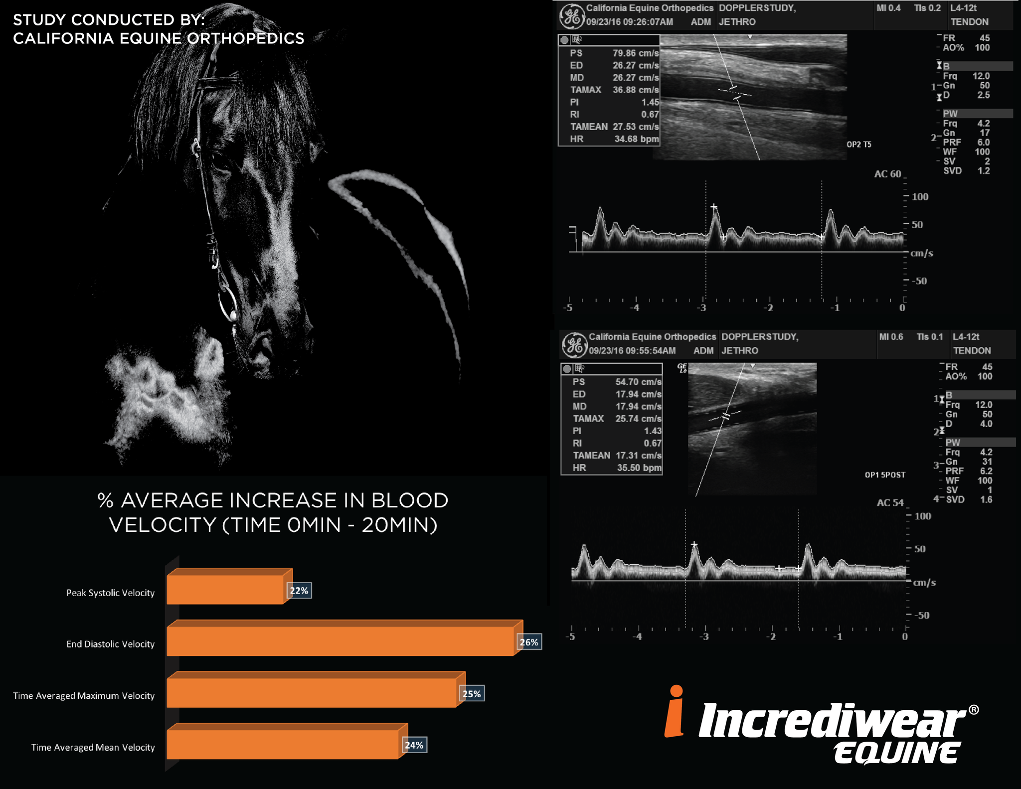 Incrediwear Equine Increase Blood Velocity Study