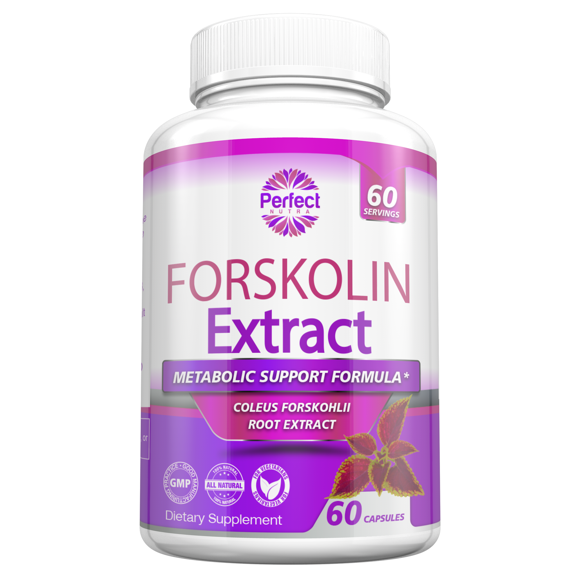 ForskolinExtract_2048x@2x.png?v=14819247